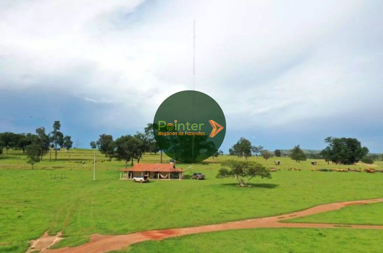 Fazenda - 6.000 Hectares