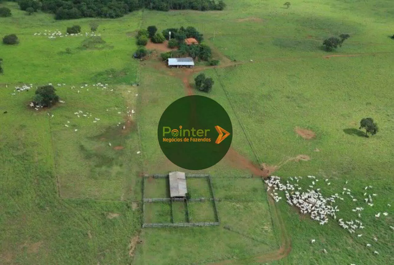 Fazenda - 785 Hectares
