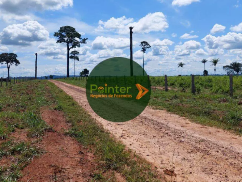 Fazenda - 2.662 Hectares