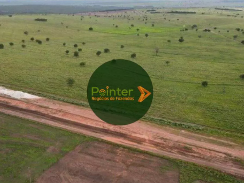 Fazenda - 7.000 Hectares