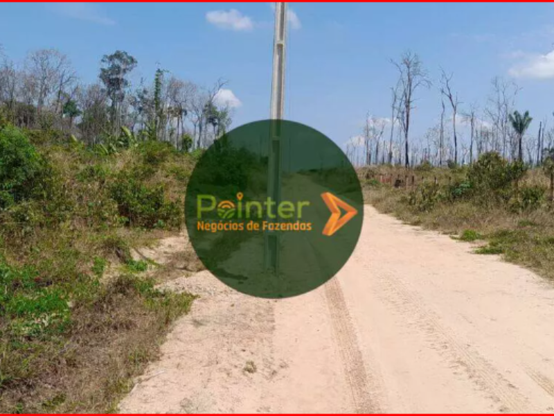 Fazenda - 2.200 Hectares
