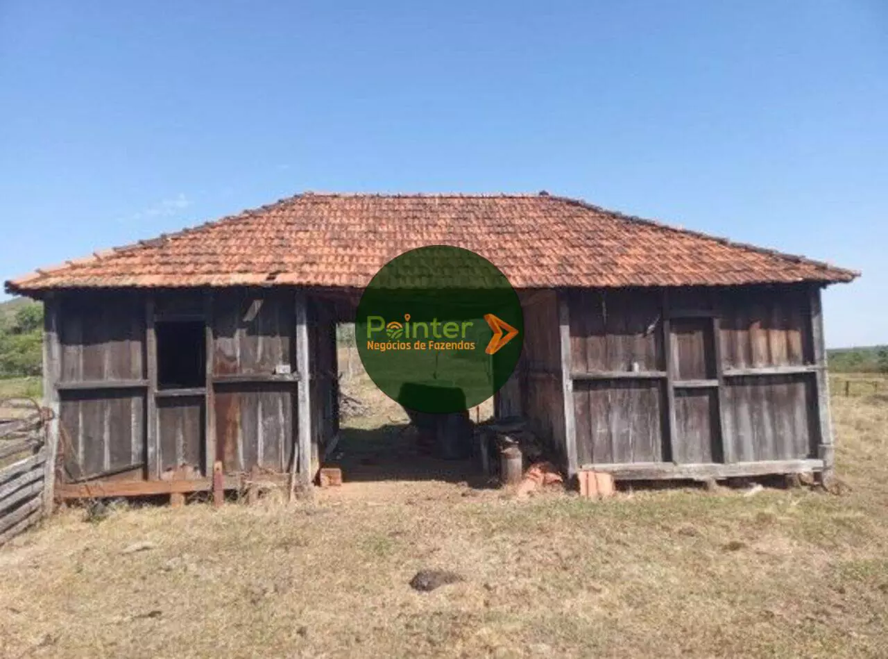 Fazenda - 3.700 Hectares