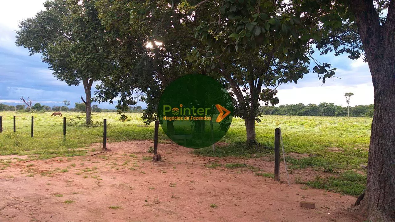 Fazenda - 4.000 Hectares