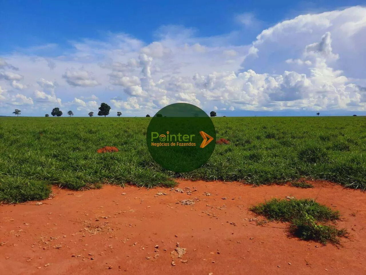 Fazenda a Venda de 172 Hectares no Mato Grosso