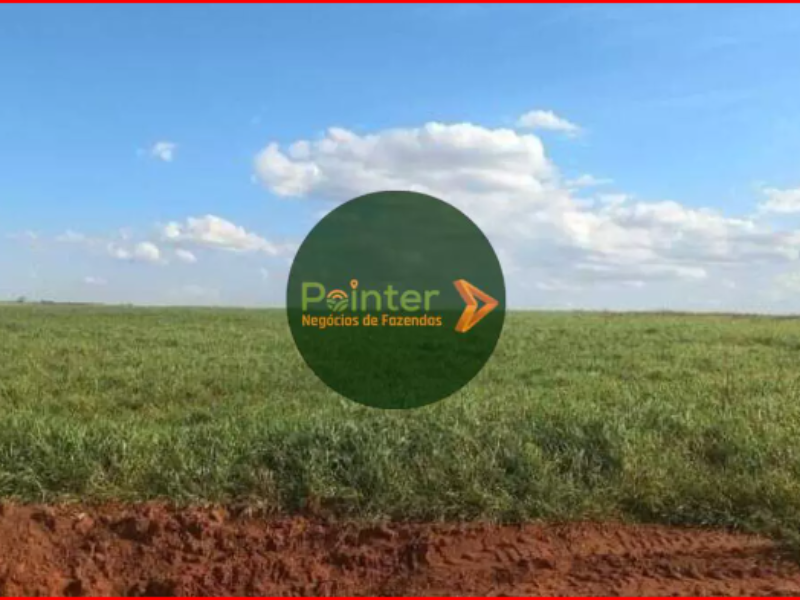 Fazenda - 1.143 Hectares