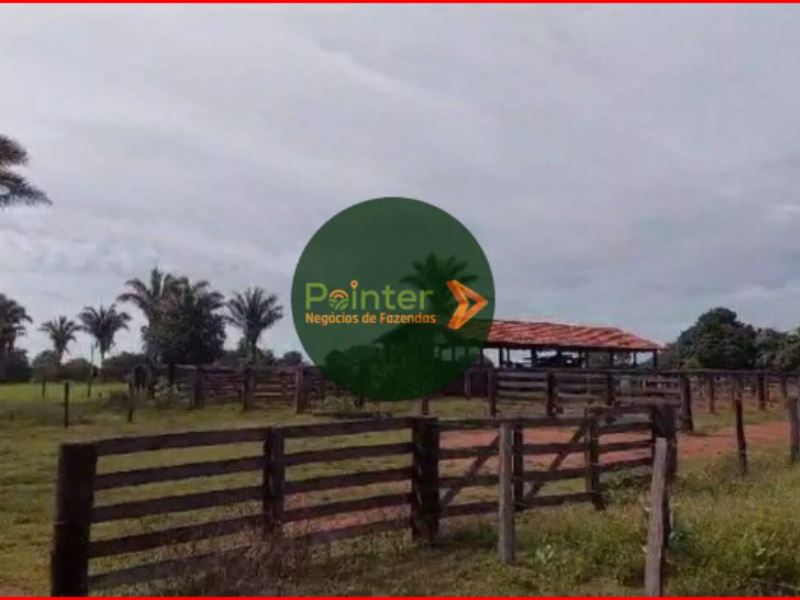 Fazenda - 1377,5 Hectares