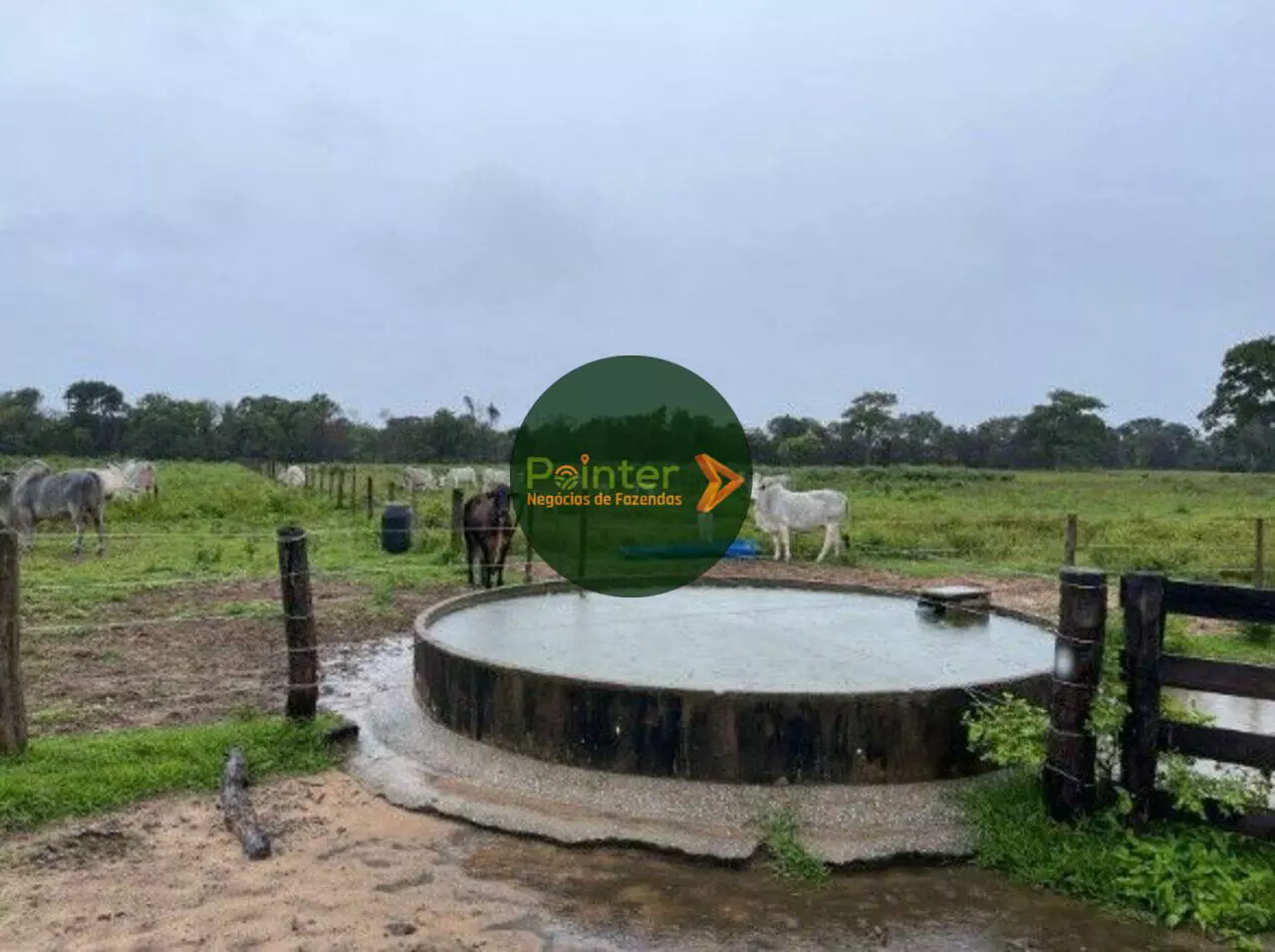 Fazenda - 306 Hectares