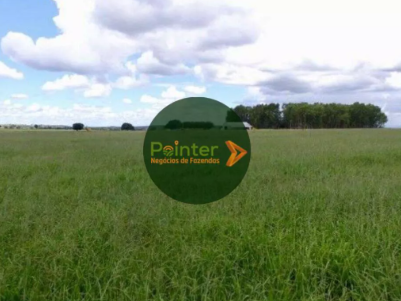 Fazenda - 200 Hectares