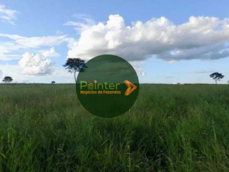 Fazenda - 1.510 Hectares