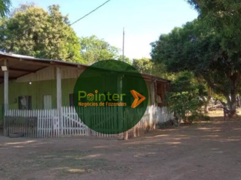 Fazenda - 2.924 Hectares