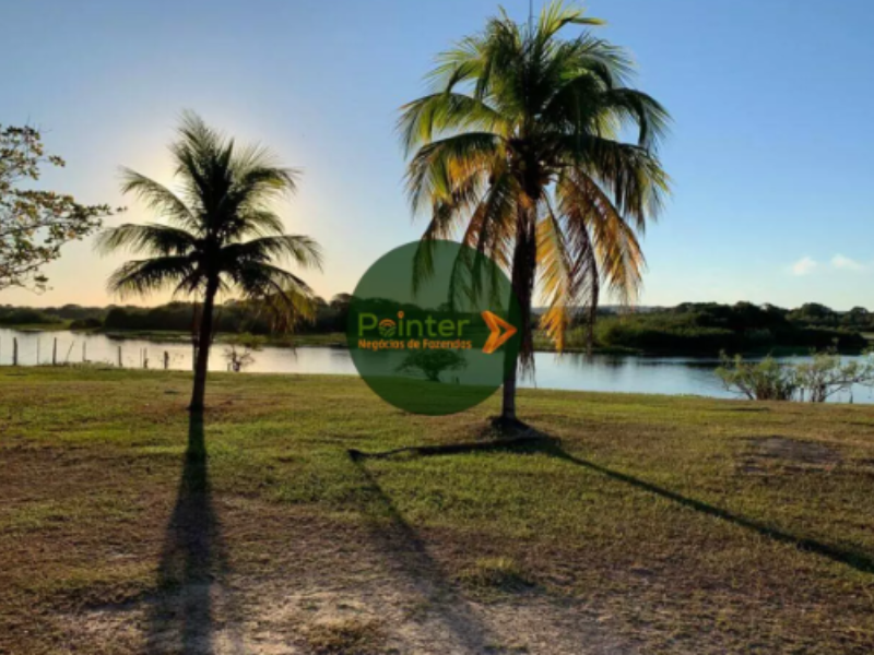 Fazenda - 2.122 Hectares
