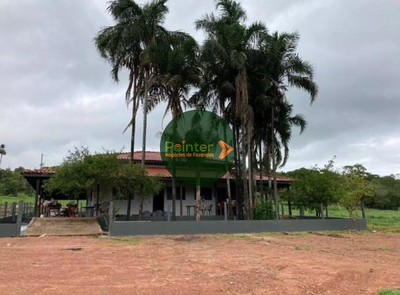 Fazenda - 1.480 Hectares