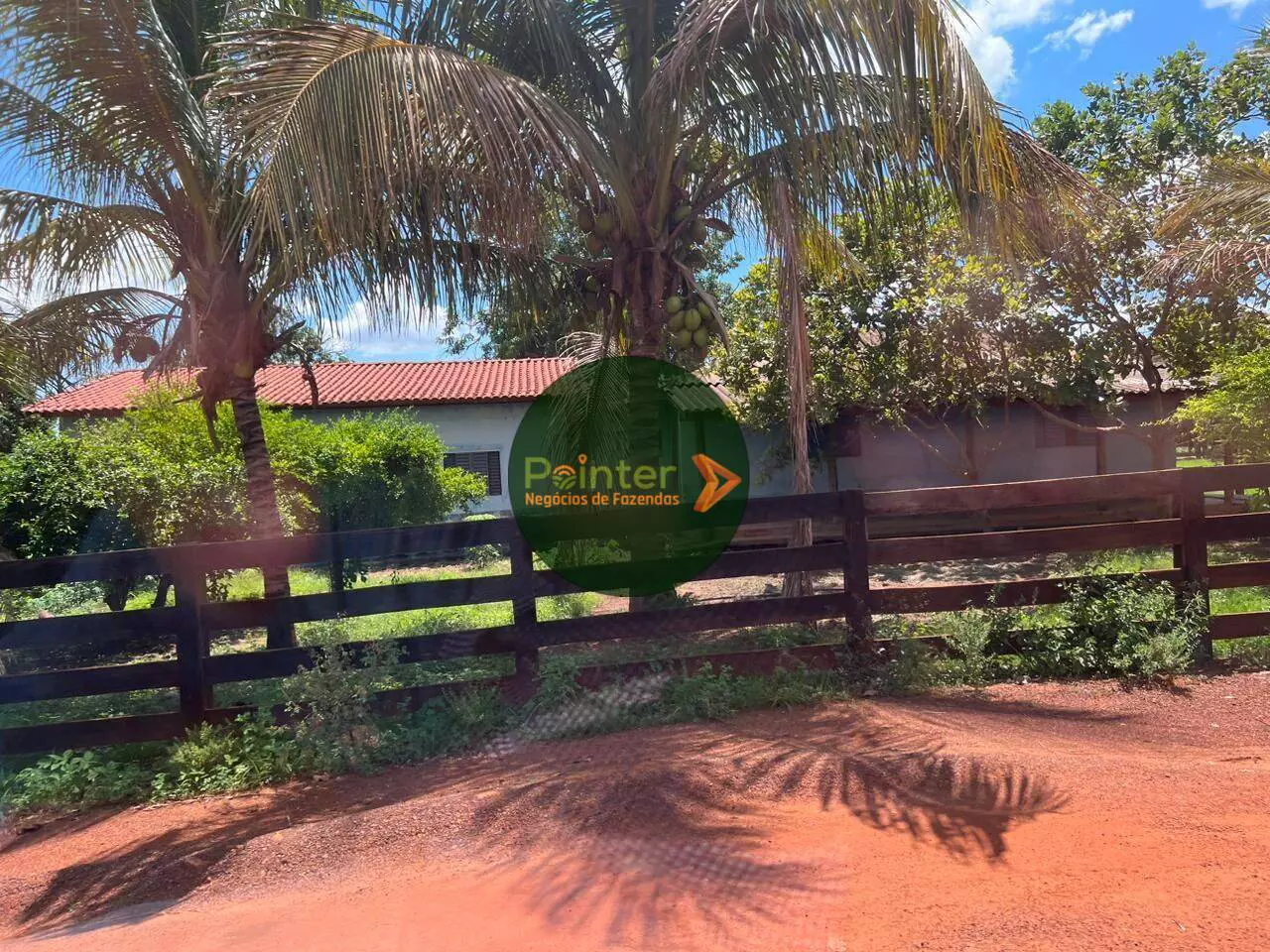 Fazenda - 1.390 Hectares