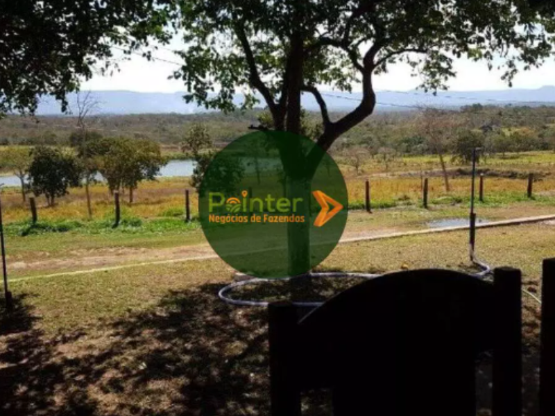 Fazenda - 1.952 Hectares