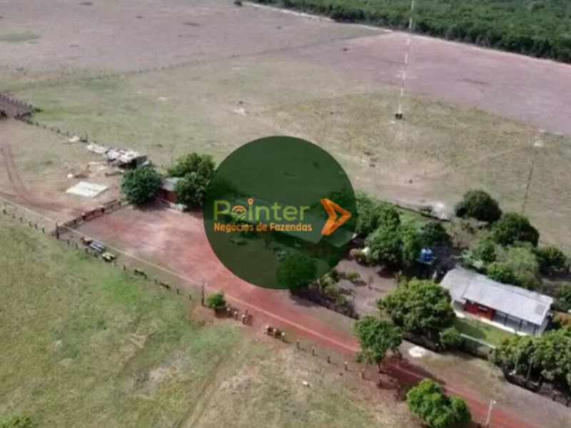 Fazenda - 1200 Hectares