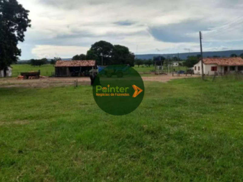 Fazenda - 2.240 HECTARES