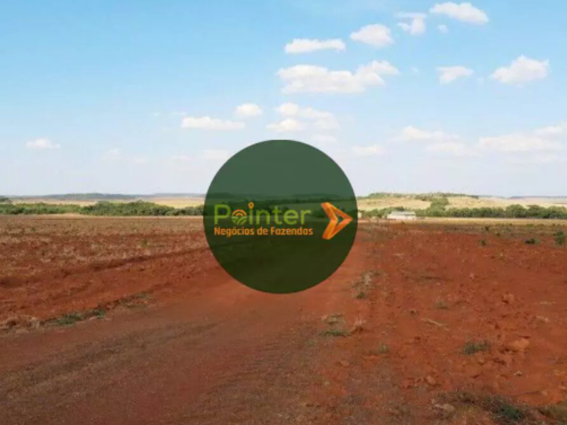 Fazenda - 1034 Hectares