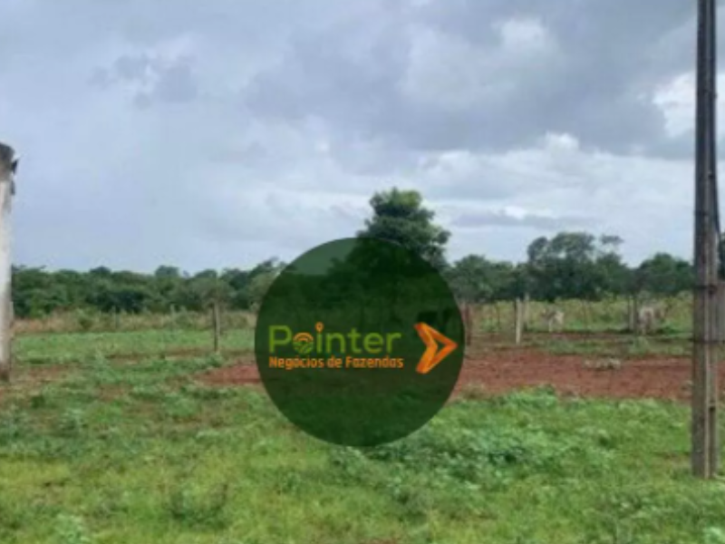 Fazenda - 1.300 Hectares