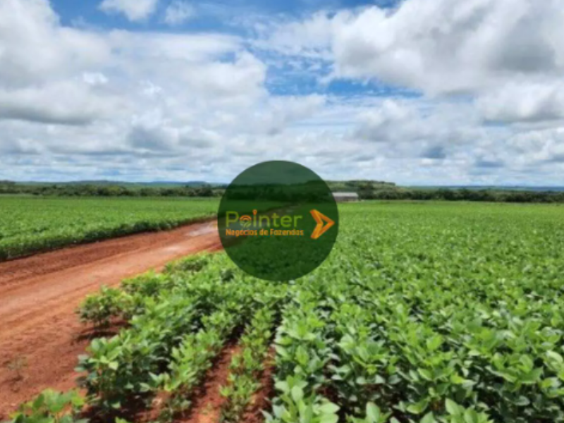 Fazenda - 1.034 Hectares