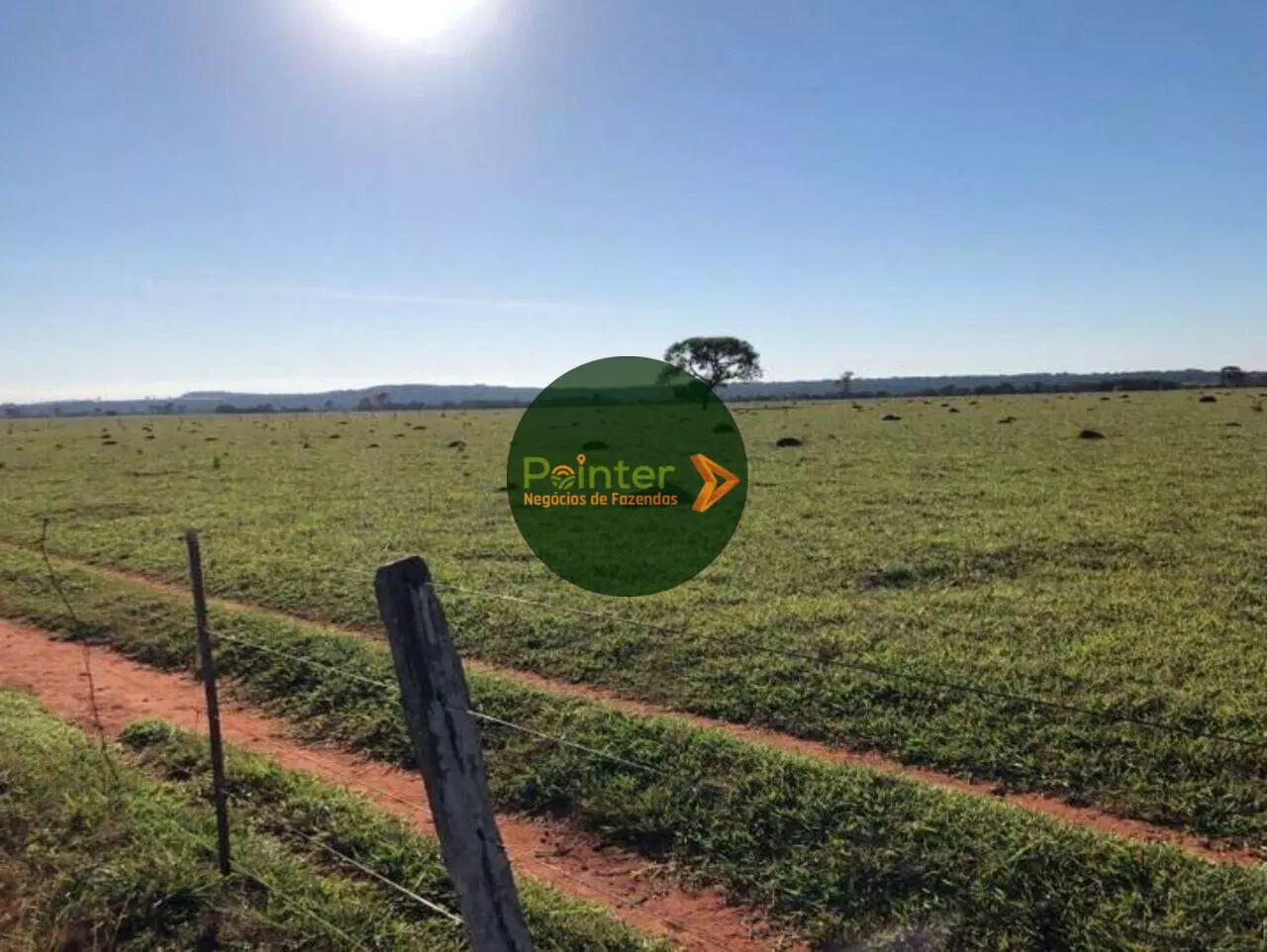 Fazenda - 1.360 Hectares
