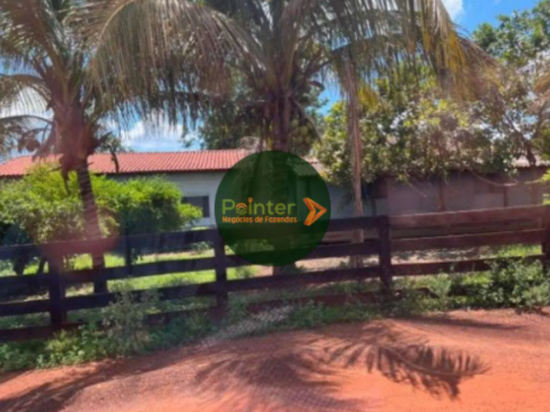 Fazenda - 1.390 Hectares