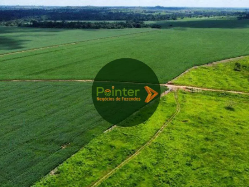 Fazenda - 1.150 Hectares