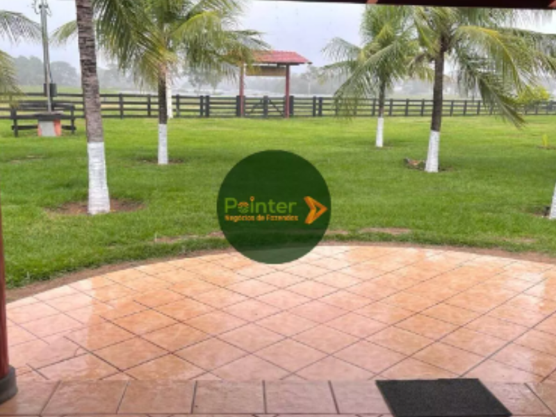 Fazenda - 5.276 Hectares