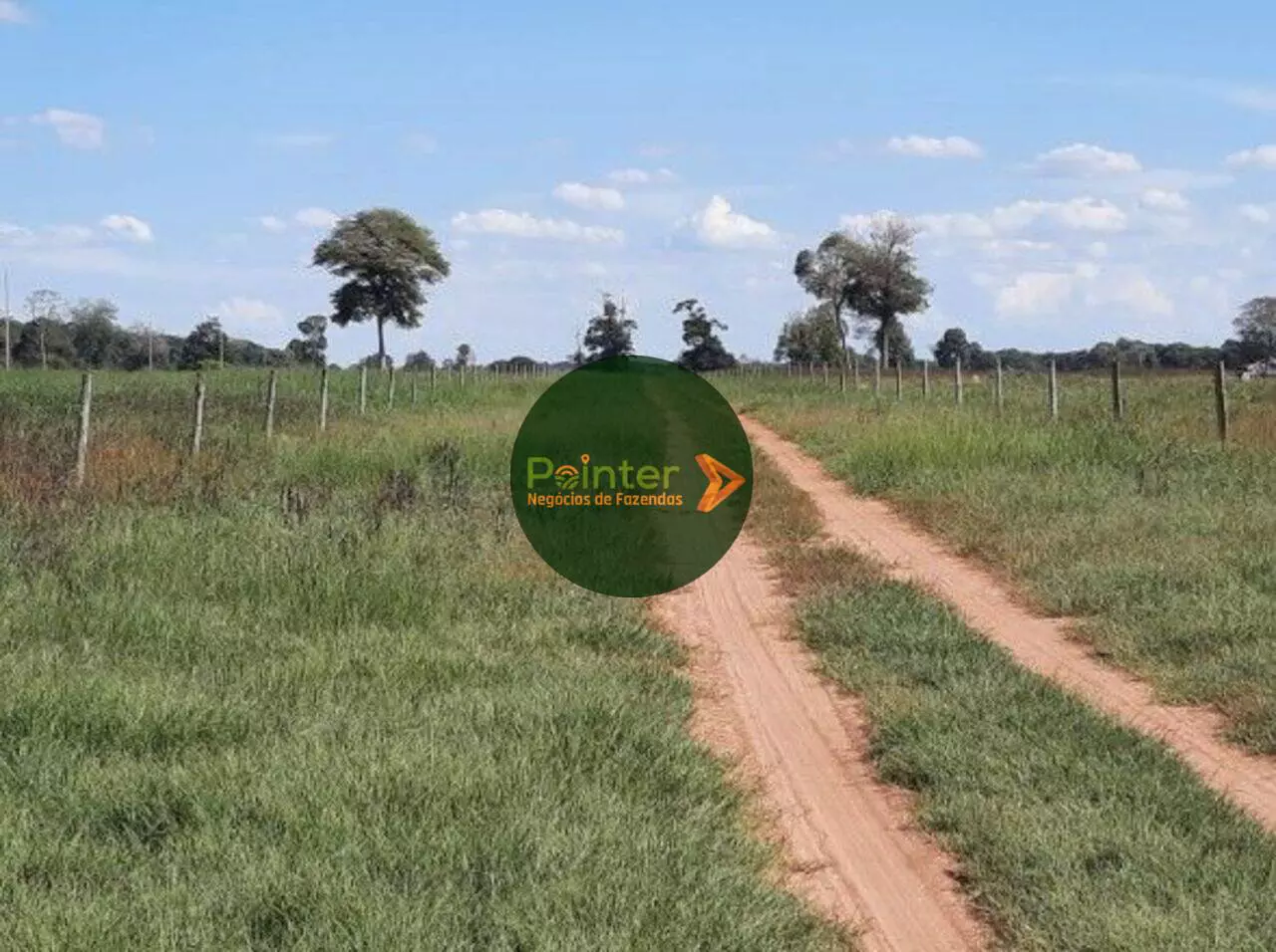Fazenda - 1.452 Hectares