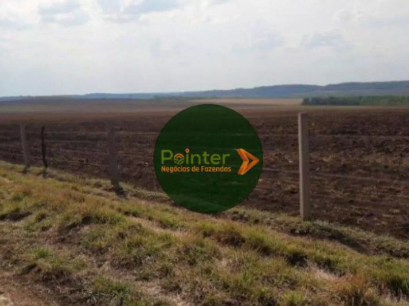 Fazenda - 1.034 Hectares