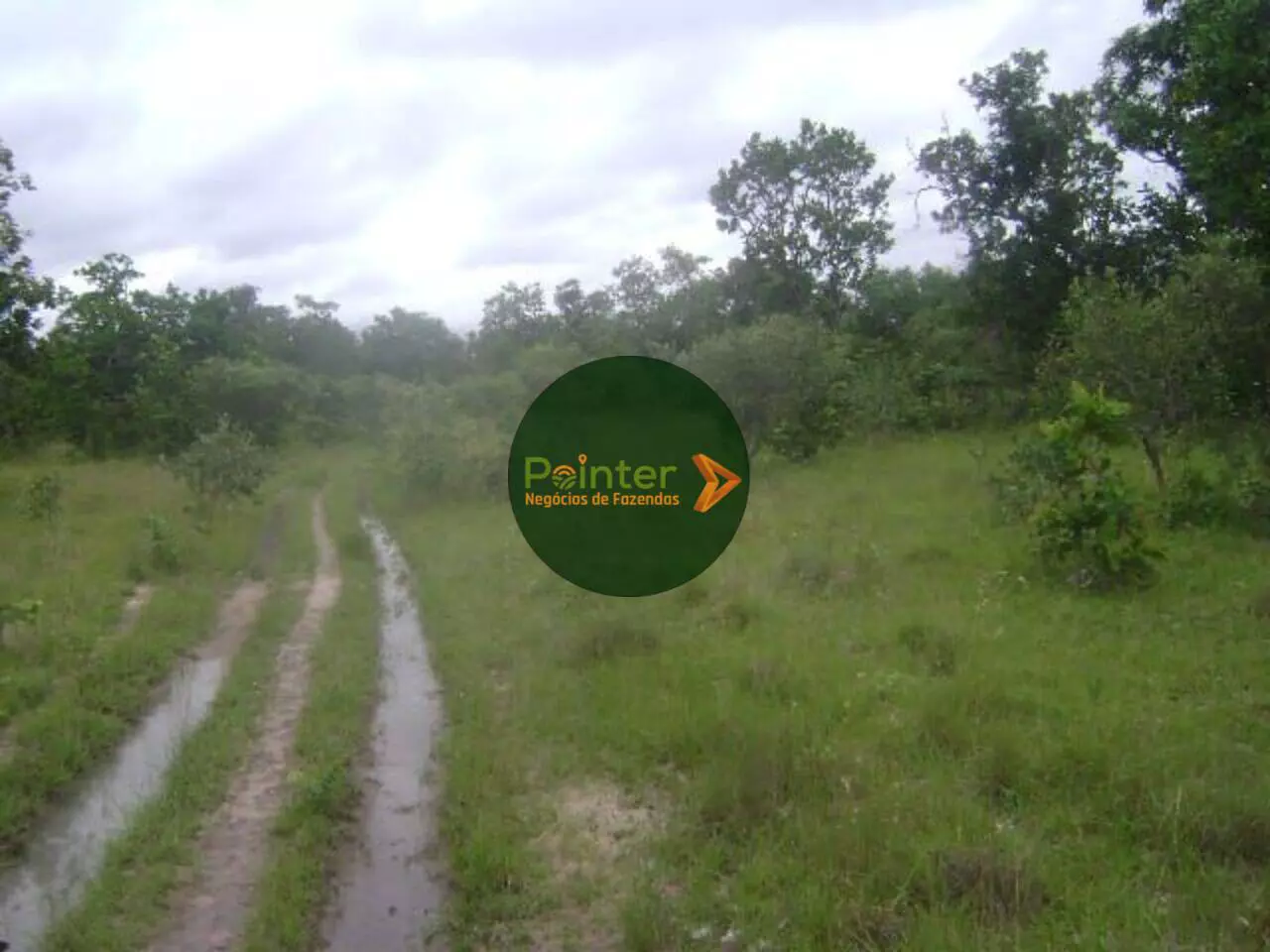 Fazenda - 605 Hectares
