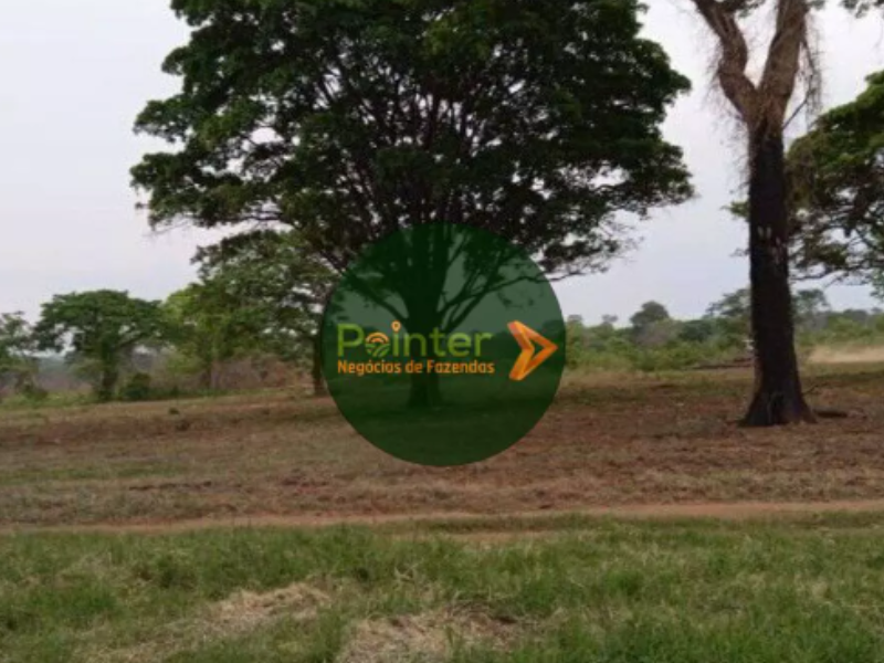 Fazenda - 7000 Hectares