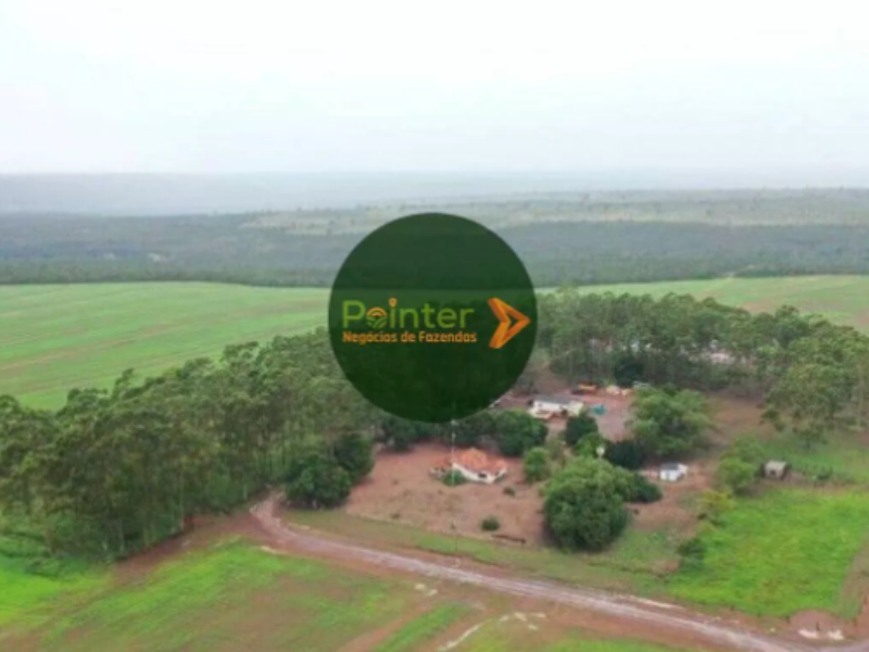 Fazenda - 1.450 Hectares