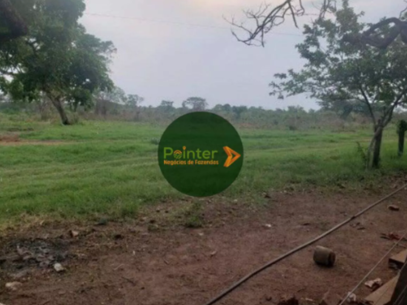 Fazenda - 7.800 Hectares