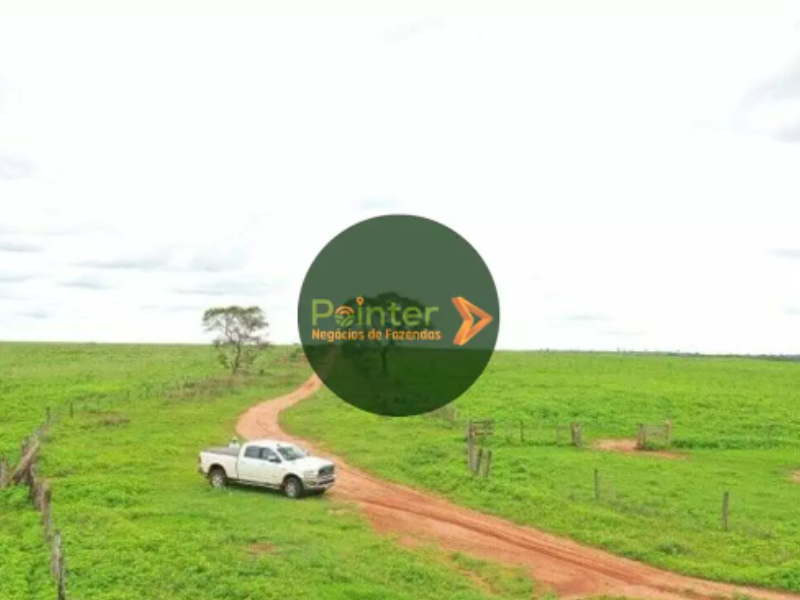 Fazenda - 3.500 Hectares