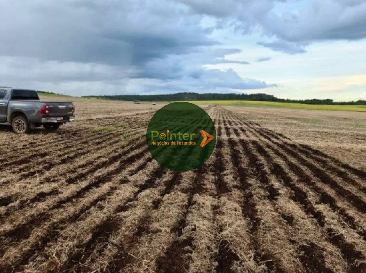 Fazenda - 1.349 Hectares