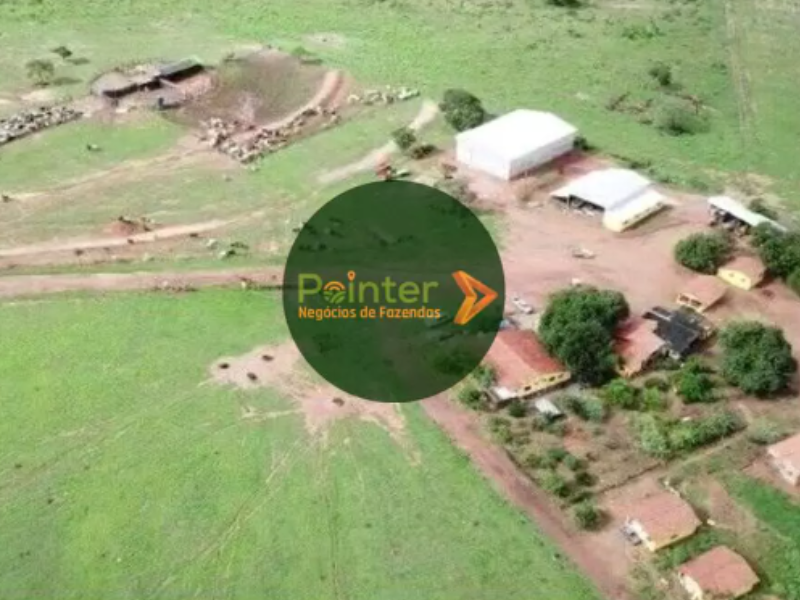 Fazenda - 7.000 Hectares