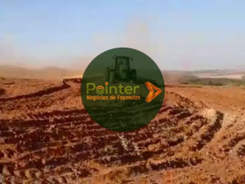 Fazenda - 4.898 Hectares