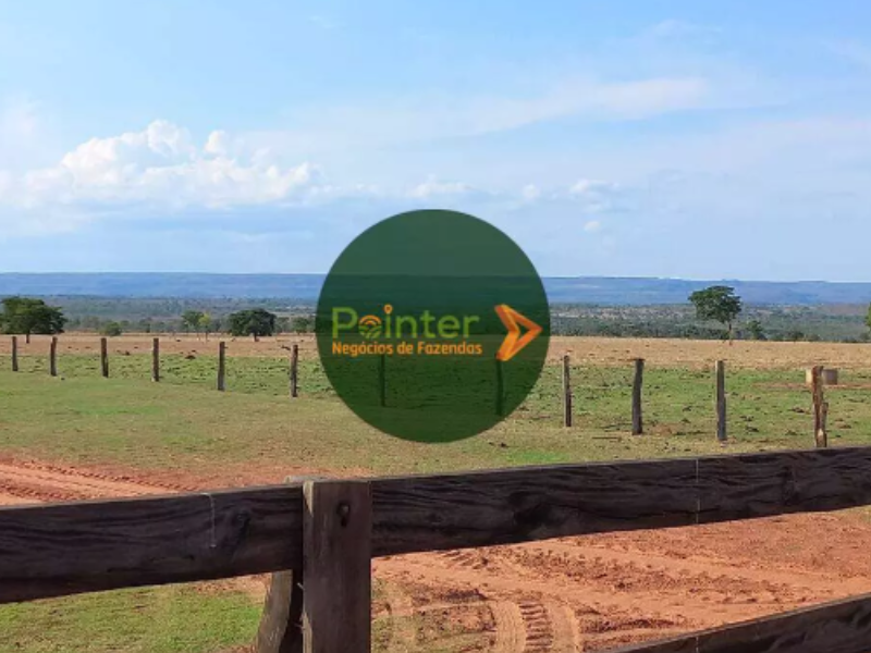 Fazenda - 2.904 Hectares