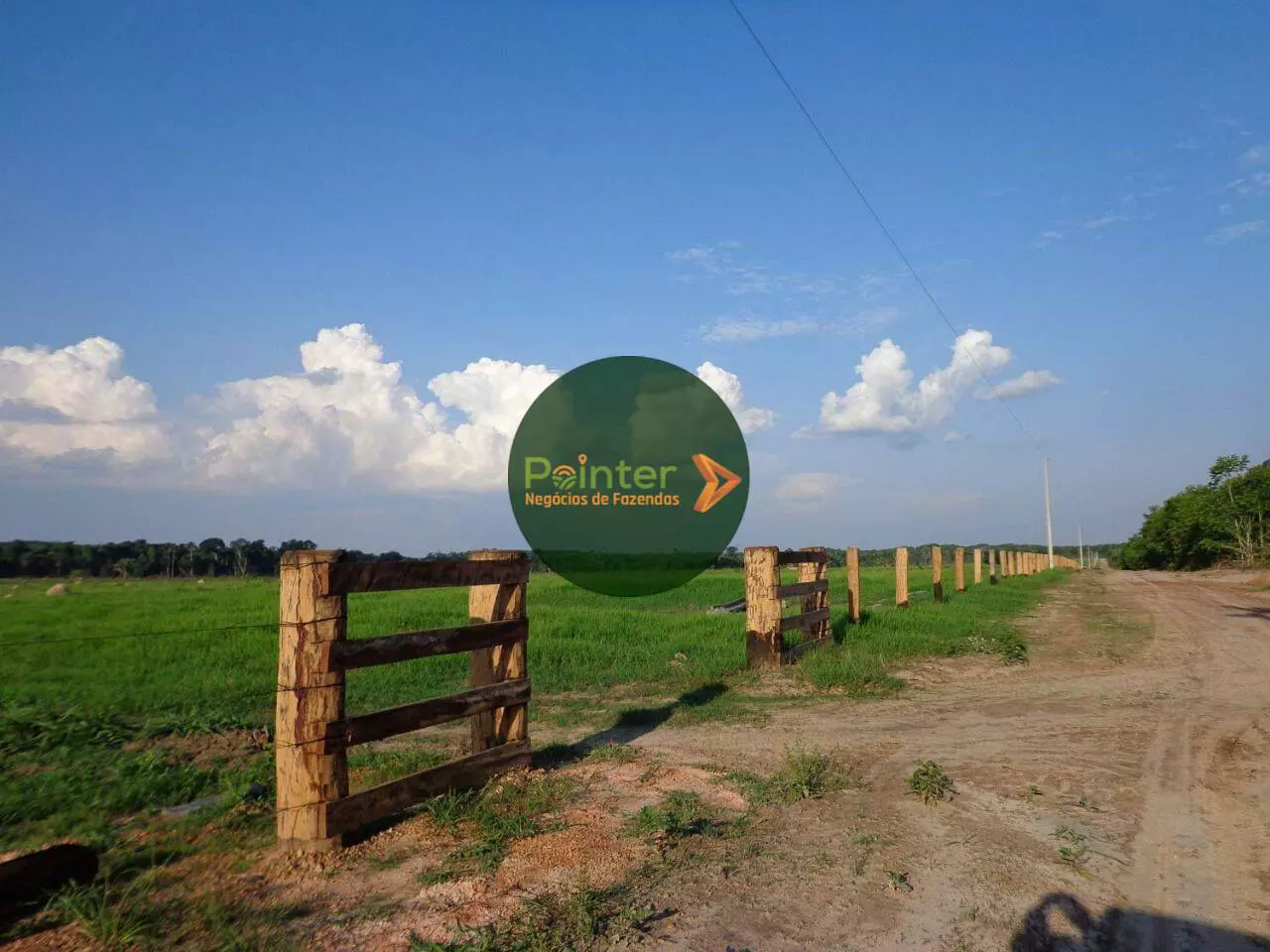 Fazenda - 4.700 Hectares