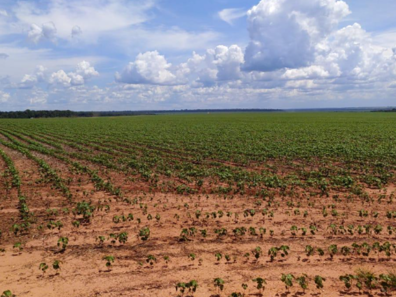 Fazenda - 26.796 Hectares