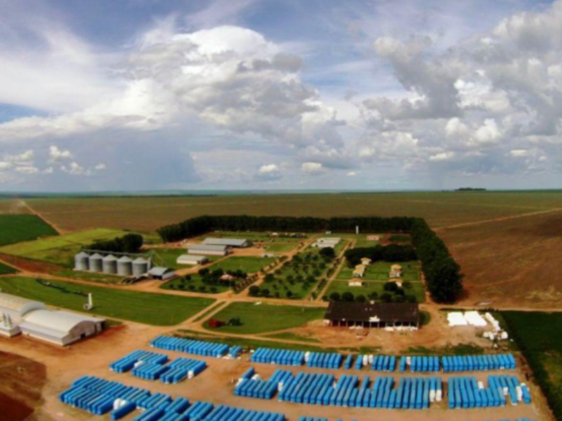 Fazenda - 15.000 Hectares