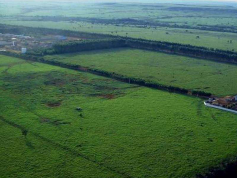Fazenda - 103.000 Hectares